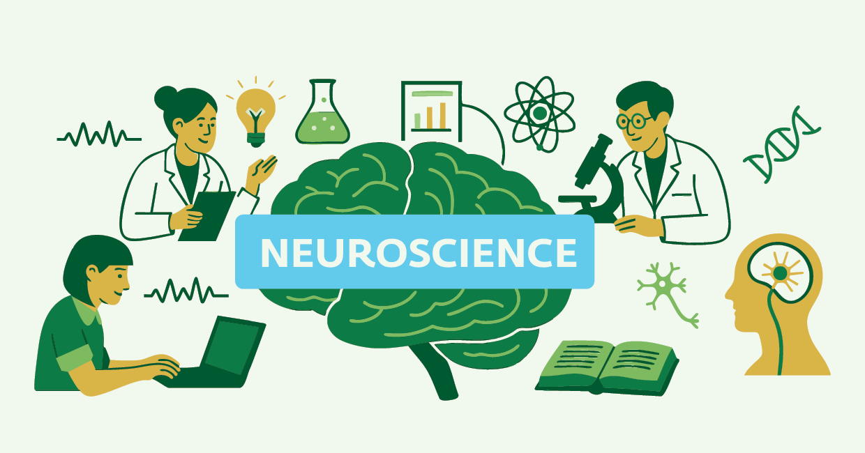 אילוסטרציה המוח לאן