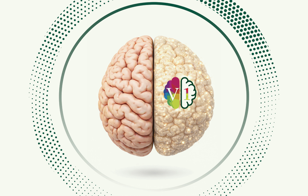 biubrainstudieswebsitephotos8.jpg