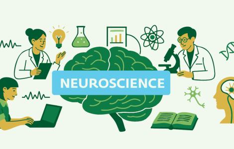 סדרת אירועי המוח לאן?