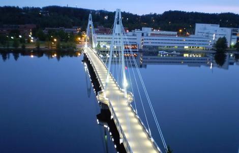 תוכנית תואר שני (MSc) משותפת בין מרכז גונדה הרב-תחומי לחקר המוח לבין אוניברסיטת ייבסקולה, פינלנד