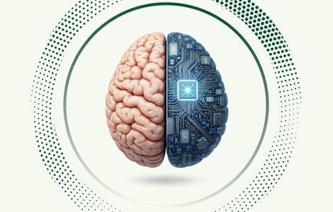 דו חוגי מדעי המוח עם מדעי המחשב