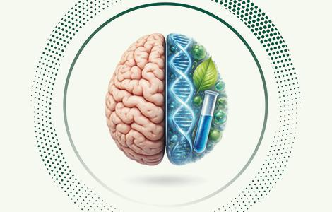 דו חוגי מדעי המוח עם מדעי החיים