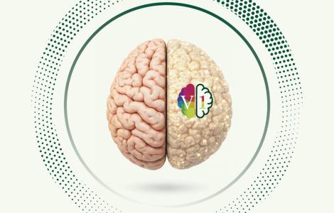 תוכנית המצויינות V1